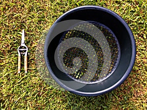 Fruit colander and tree pruner photo