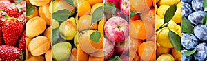 Fruit collage of various types fruits