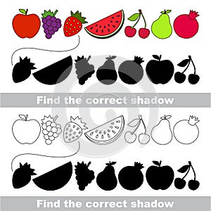 Fruit collection. Find correct shadow.