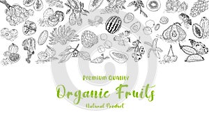 Fruit collection in flat hand drawn style, illustrations set