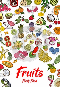 Fruit collection in flat hand drawn style, illustrations set