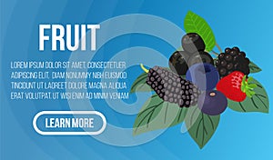 Fruit concept banner, isometric style