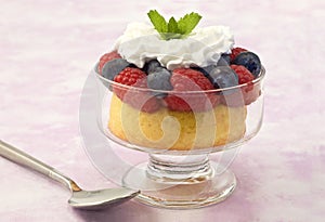 Fruit cup