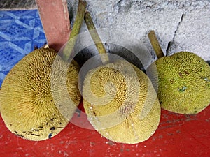 Marang