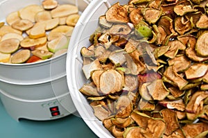 Fruit dryer with apple pieces