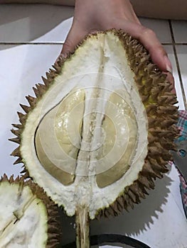 Durian