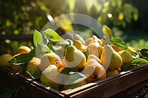 Fruit farmer market, tasty pears, summer day. Generative AI