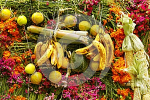 Fruit and flowers day of the dead I photo