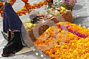 Fruit and cempasuchil flowers day of the dead IV photo