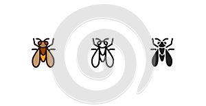 Fruit fly icon,  line color vector illustration