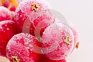 Fruit frozen in ice