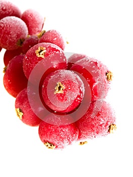 Fruit frozen in ice