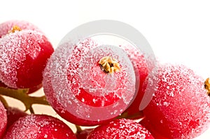 Fruit frozen in ice