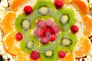 Fruit gateau cake photo