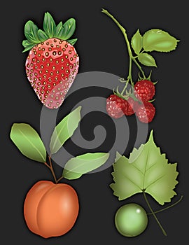 Fruit graphic of strawberry, raspberry, peach, and grape