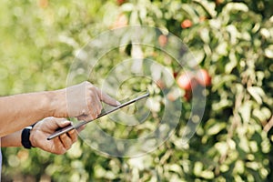 Fruit grower with digital tablet checking quality in modern organic orchard