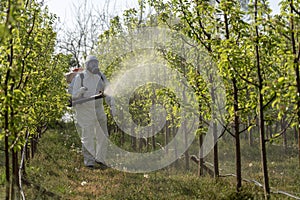 Fruit Grower Sprays Trees With Toxic Pesticides