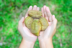 Fruit on hand with pride in productivity