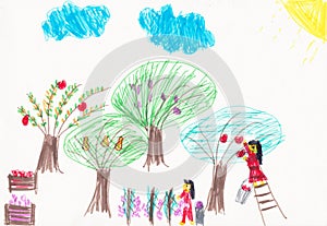 Fruit Harvesting Children`s Drawing