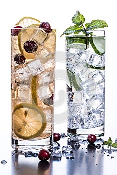 Fruit and Herb Sparkling Water Beverages