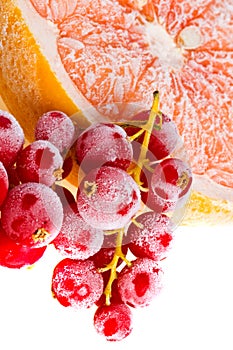 Fruit in ice.