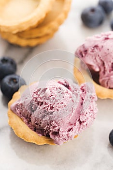 Fruit ice cream with blueberries