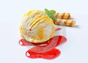 Fruit ice cream with raspberry sauce