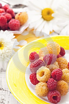 Fruit ice cream yellow raspberry with mixed berries raspberries on a plate on the background of large daisies. Close-up.