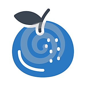 Fruit vector glyph color icon