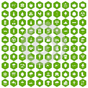 100 fruit icons hexagon green