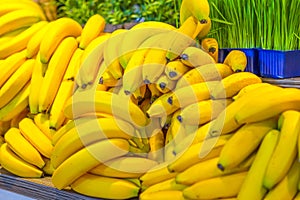 Fruit Ideas. Variety of Fresh Banana Fruits Placed Bulk