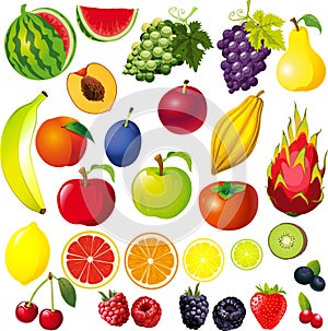 FRUIT Illustration Big Collection Mix - Vector