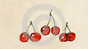 Fruit, illustration of cherries mix fruit