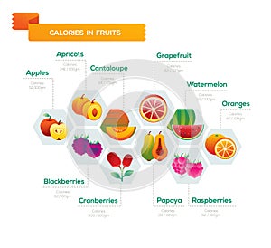 Fruit infographic