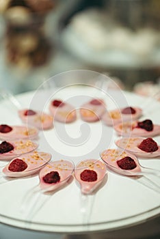 Fruit jelly with raspberries are lyng on the plate. Wedding dessert table set.