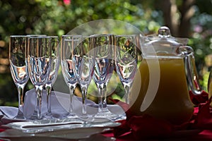 Fruit juice and glasses-Stock Photos