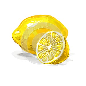 Fruit lemon Vector illustration hand drawn