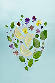 Fruit Lemonade Ingredient Pattern