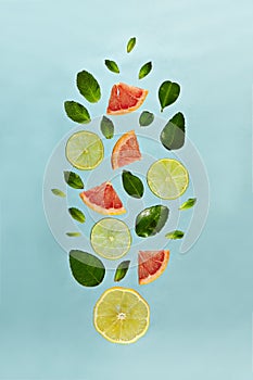 Fruit Lemonade Ingredient Pattern