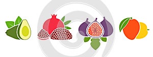 Fruit logo. Isolated fruit on white background