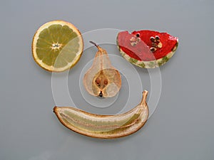 Fruit magnets