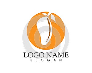 Fruit mango icon logo vector template