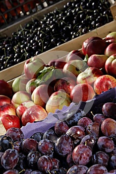 Fruit at the market 3