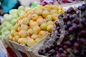 Fruit market