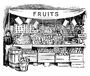 Fruit Market vintage illustration