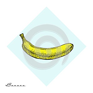 Fruit Menu - Banana - hand-drawn objects