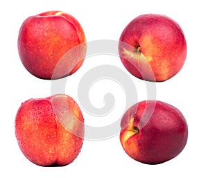 Fruit nectarine