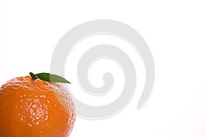 Fruit oranges