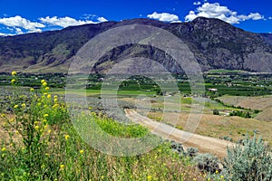 Fruit Orchard Cawston Similkameen Valley British Columbia Country Road Landscape