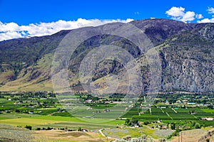 Fruit Orchard Cawston Similkameen Valley British Columbia Landscape